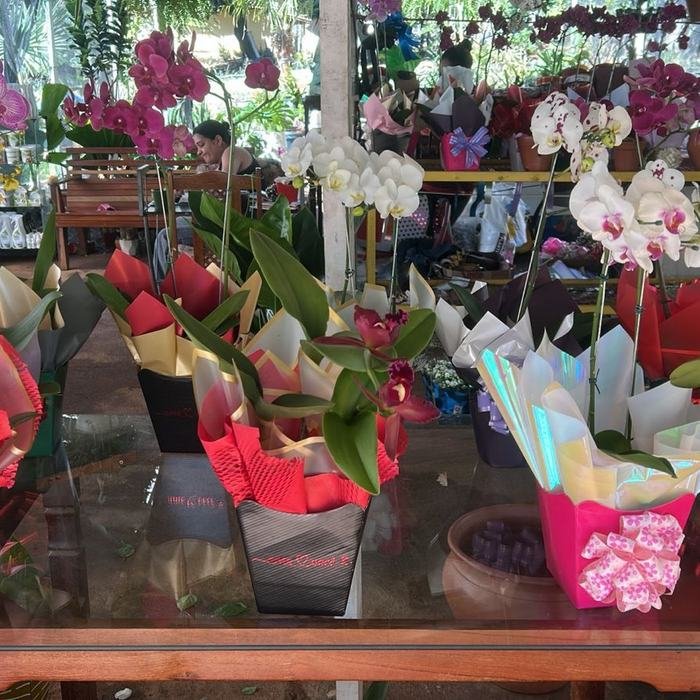 Arranjos na Floricultura Shopping das Plantas