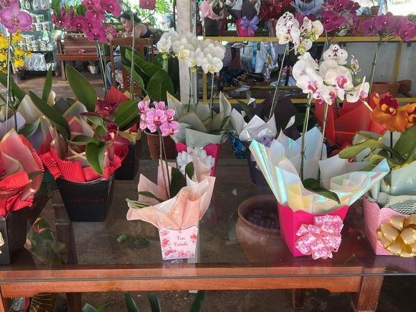 Orquídeas e buquês prontos no balcão